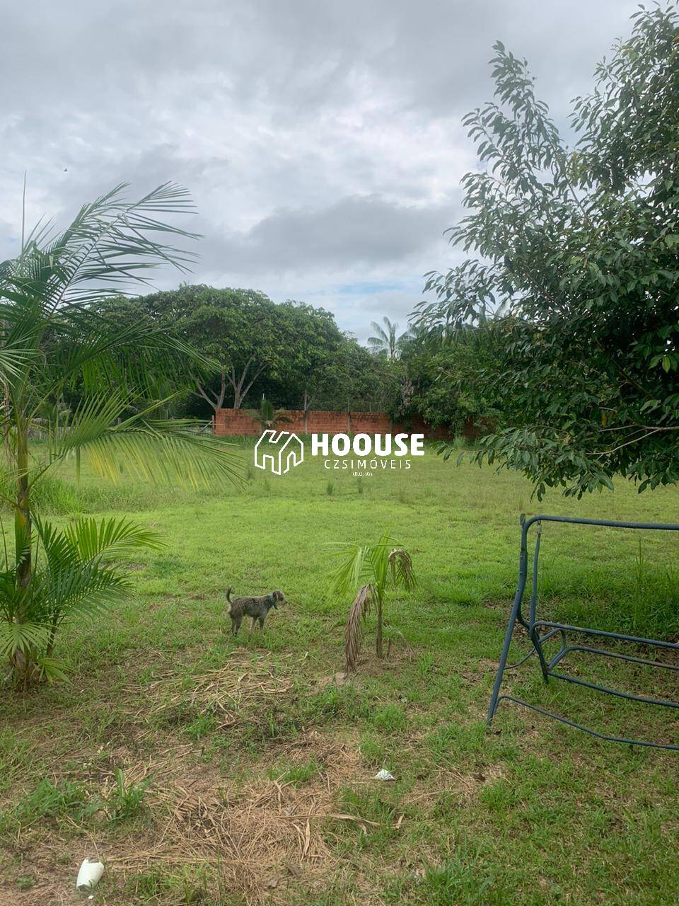 Fazenda à venda com 2 quartos, 4m² - Foto 19