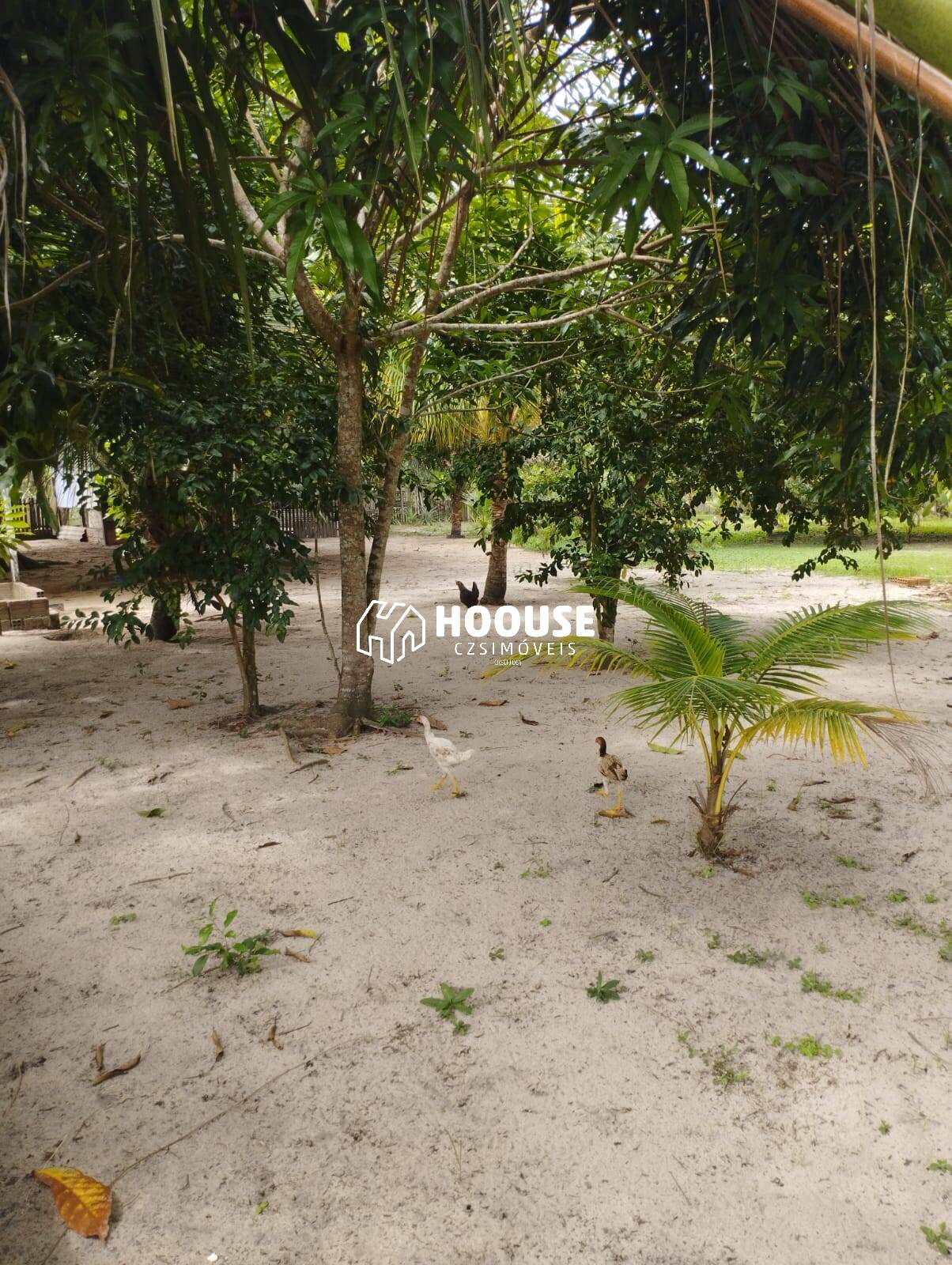 Fazenda à venda com 2 quartos, 2000m² - Foto 13